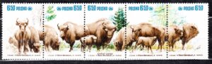 FI.2608-2612**PASEK