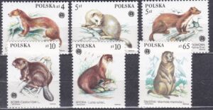 FI.2798-2803**