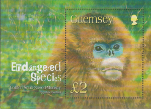 MAŁPA GUERNSEY MI.BL.36**