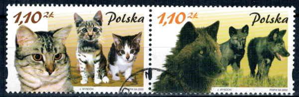 FI.3811-3812 KOMBINACJA KASOWANE