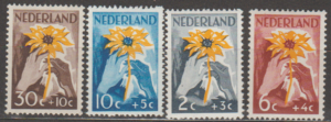 KWIATY HOLANDIA MI.521-524**