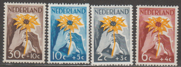 KWIATY HOLANDIA MI.521-524**