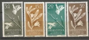 KWIATY SAHARA HISZPAŃSKA MI.157-160**