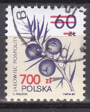 FI.3121 KASOWANY