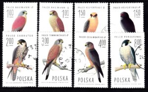 FI.2207-2214 KASOWANE