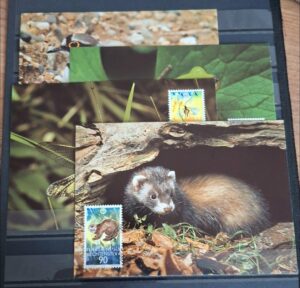 ZWIERZĘTA WWF LIECHTENSTEIN MI.967-970 KARTY MAXIMUM