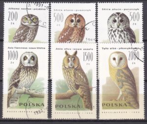 FI.3146-3151 KASOWANY