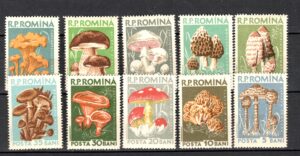 GRZYBY RUMUNIA MI.1721-1730**
