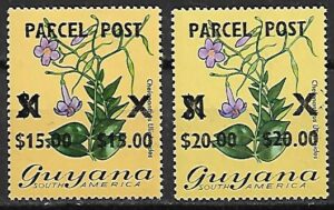 KWIATY GUYANA MI.1-2**