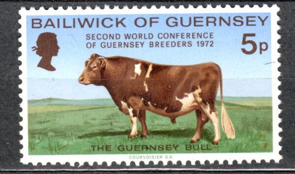 KROWA GUERNSEY MI.66**
