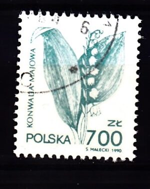 FI.3177 KASOWANY