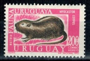 ZWIERZĘTA URUGWAJ MI.1213**