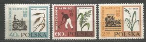 FI.1223-1225**