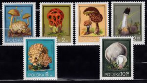 FI.2545-2550**