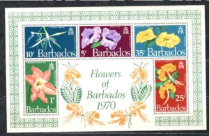KWIATY BARBADOS MI.BL.3**