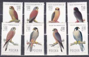FI.2207-2214**