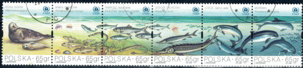 FI.3558-3563 PASEK KASOWANY
