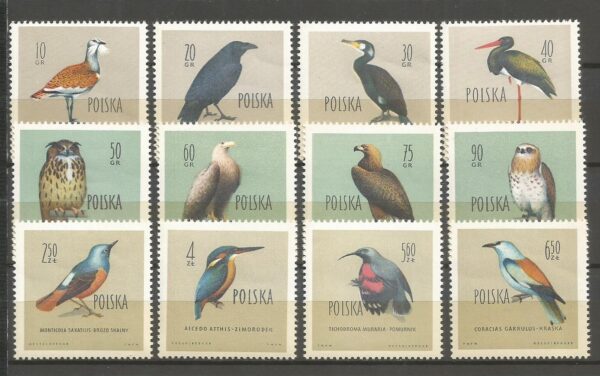 FI.1062-1073**