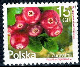 FI.4721 KASOWANE