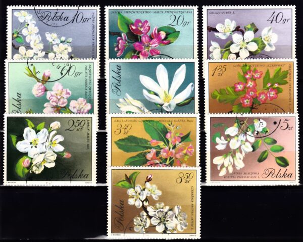 FI.1985-1994 KASOWANY