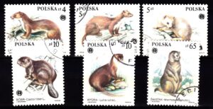 FI.2798-2803 KASOWANE