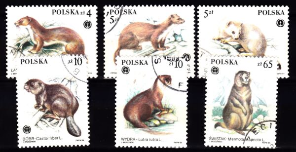 FI.2798-2803 KASOWANE
