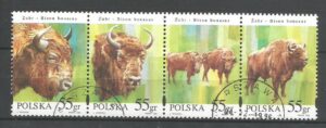 FI.3481-3484 PASEK KASOWANY