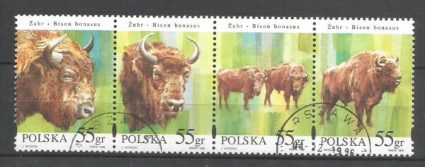 FI.3481-3484 PASEK KASOWANY