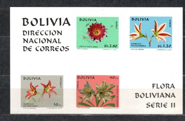 KWIATY BOLIWIA MI.BL.31**