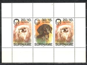 PSY SURINAME MI.BL.17**