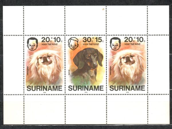 PSY SURINAME MI.BL.17**