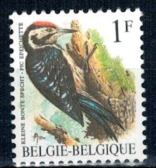 PTAKI BELGIA MI.2401**