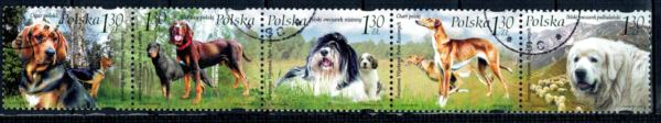 FI.4126-4130 PASEK KASOWANE