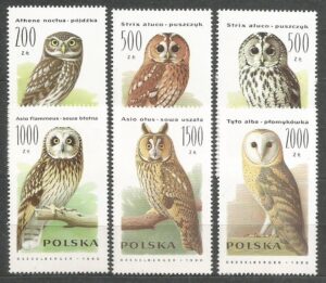 FI.3146-3151**