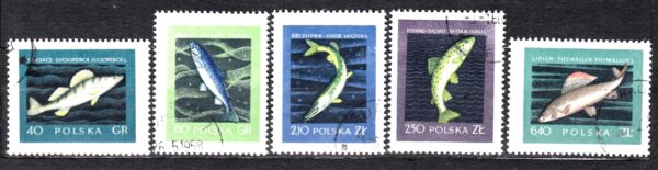 FI.906-910 KASOWANY