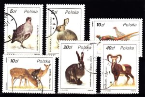 FI.2871-2876 KASOWANE