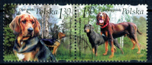 FI.4126-4127 PARKA KASOWANE