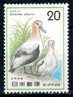 PTAKI JAPONIA MI.1237**