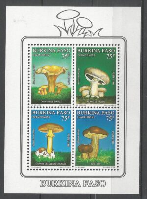 GRZYBY BURKINA FASO MI.BL.134**