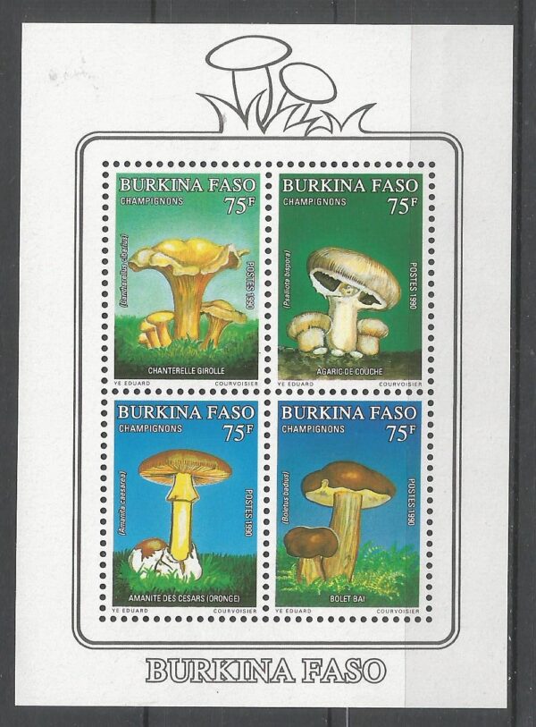 GRZYBY BURKINA FASO MI.BL.134**