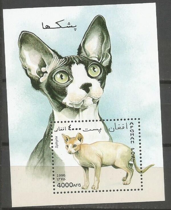 KOT SYJAMSKI AFGANISTAN MI.BL.91**