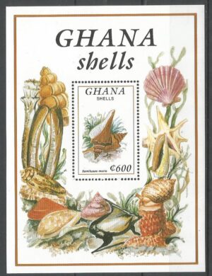 MUSZLE GHANA MI.BL.207**