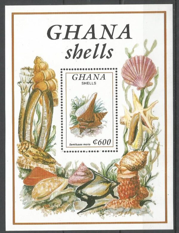 MUSZLE GHANA MI.BL.207**