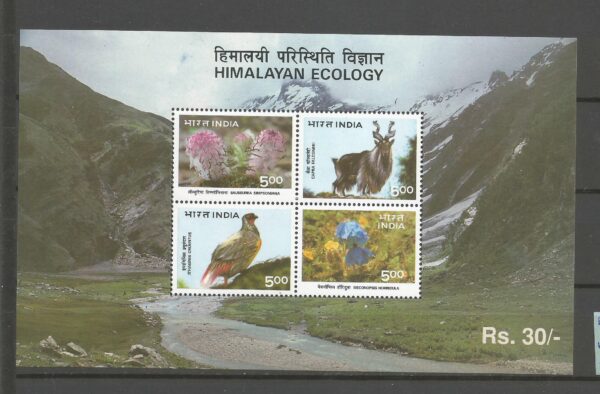 FLORA I FAUNA INDIE MI.BL.7**