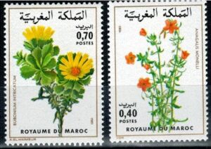 KWIATY MAROKO MI.955-956**