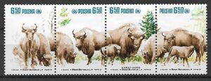 FI.2608-2611**KOMBINACJE