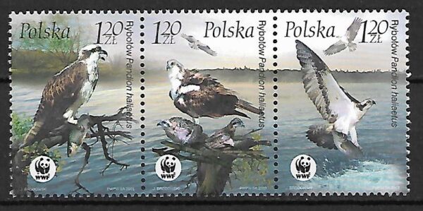 FI.3929-3931**KOMBINACJA