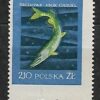 FI.908**MAKULATURA GWARANCJA I OPIS J.WALOCHA