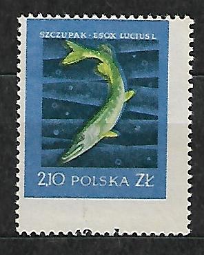 FI.908**MAKULATURA GWARANCJA I OPIS J.WALOCHA