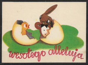 KARTA FI.Cp.107 **ILUSTRACJA 2